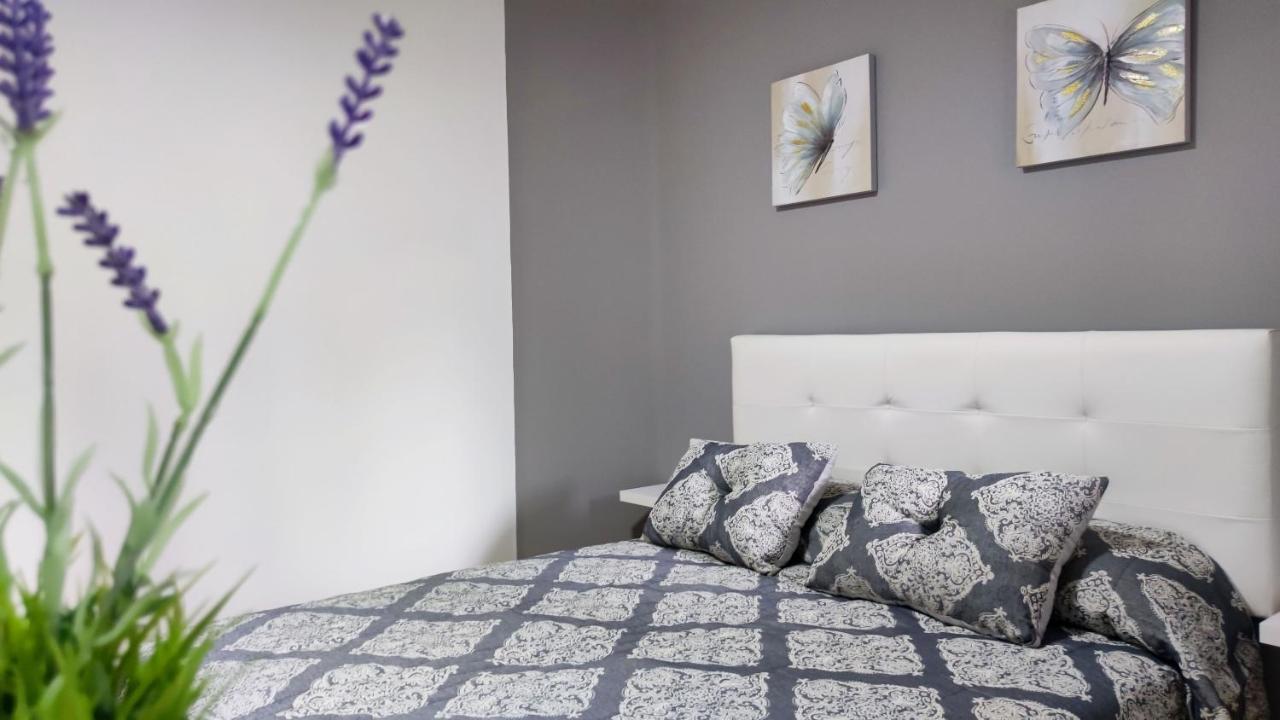 Os Reloxos II Appartement Mondariz-Balneario Buitenkant foto